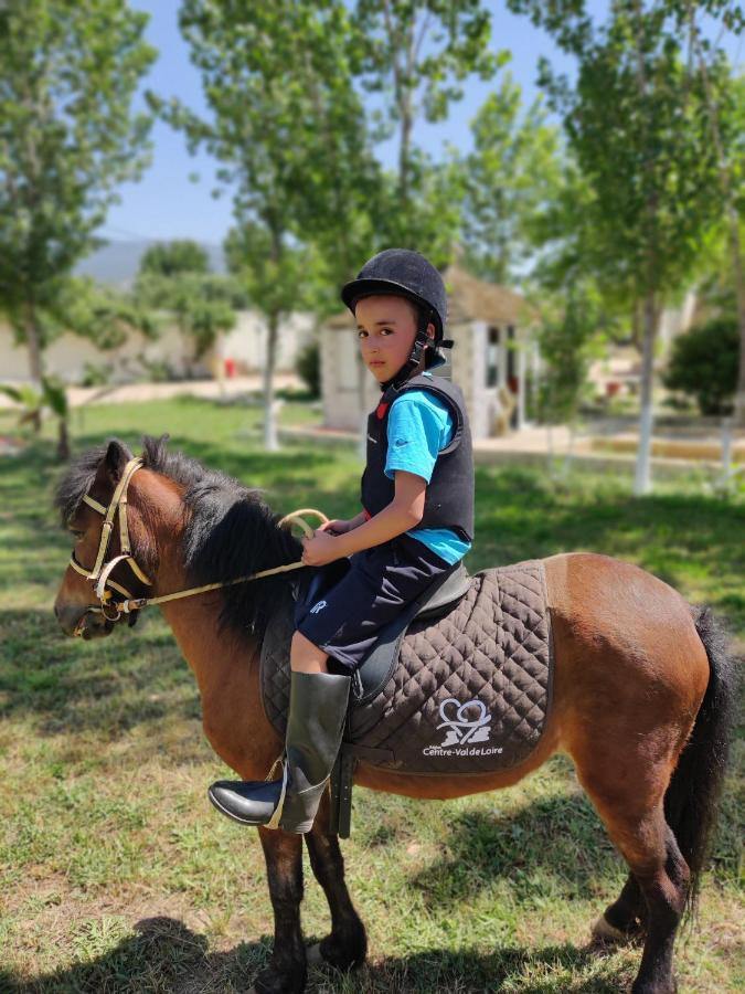 Séjour à la ferme Le Vallon Vert - Club Equestre