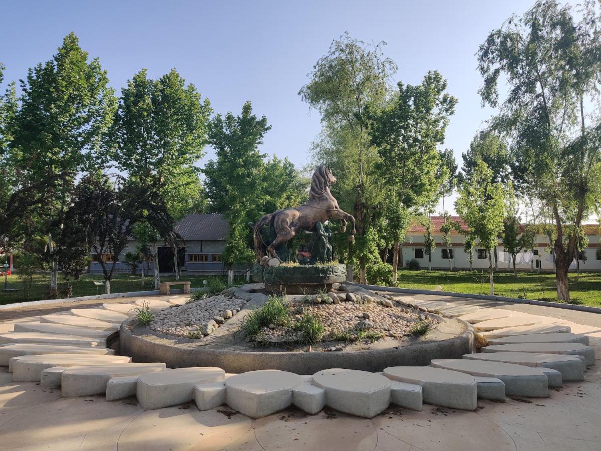 Le Vallon Vert - Club Equestre Azrou