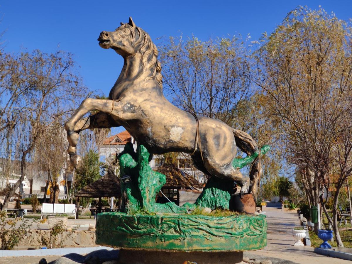 Le Vallon Vert - Club Equestre Azrou