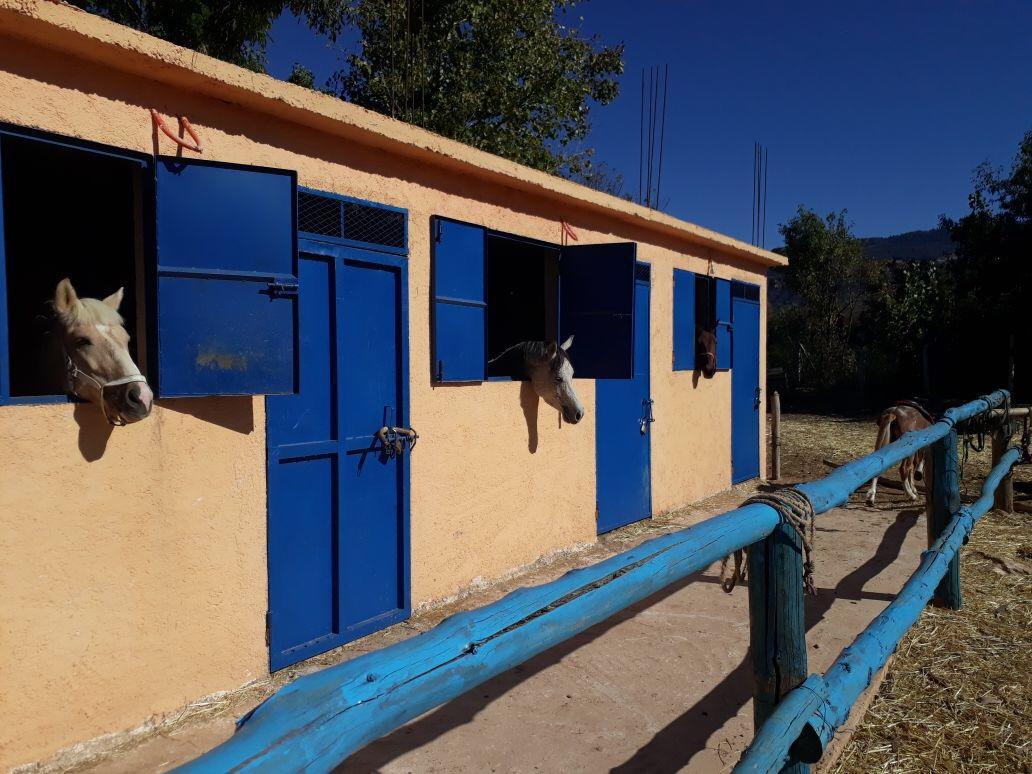 Séjour à la ferme Le Vallon Vert - Club Equestre *