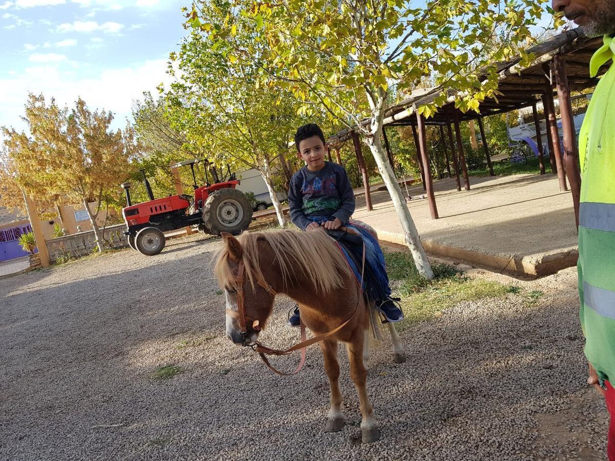 Le Vallon Vert - Club Equestre *